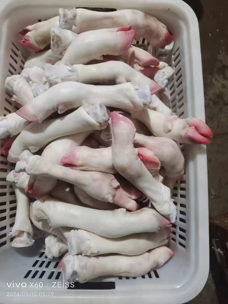 纯干不抽筋单个8两左右的小牛蹄，肉质鲜美，胶原蛋白丰富