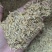 除尘过筛稻壳，酿酒酿醋，一天两挂车，大量有货