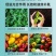 氨基酸原粉农用水溶肥冲施肥叶面肥瓜果蔬菜有机肥料水产养殖