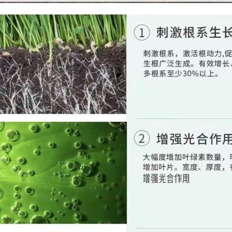 氨基酸原粉农用水溶肥冲施肥叶面肥瓜果蔬菜有机肥料水产养殖