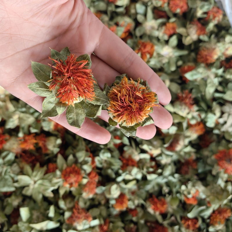 红花头纯干泡水批发零售