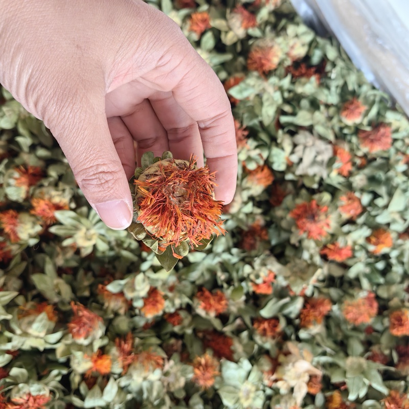 红花头纯干泡水批发零售