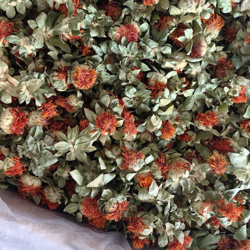 红花头纯干泡水批发零售