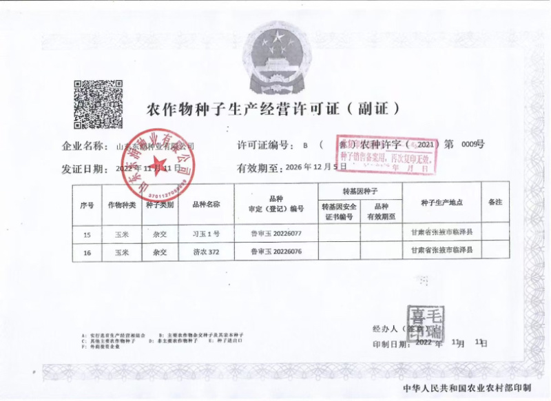 高抗锈病抗茎腐病抗穗腐病粉红轴大棒习玉一号