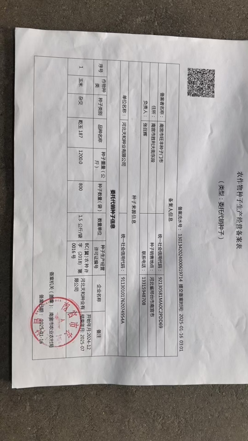 高抗锈病抗茎腐病抗穗腐病粉红轴大棒习玉一号
