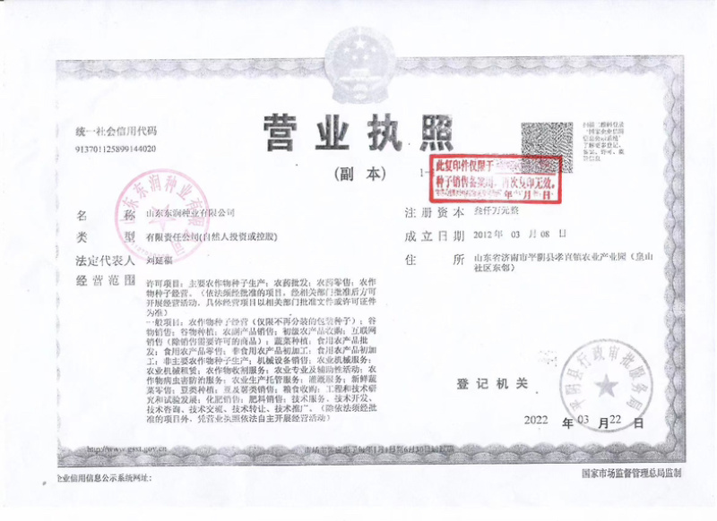 高抗锈病抗茎腐病抗穗腐病粉红轴大棒习玉一号