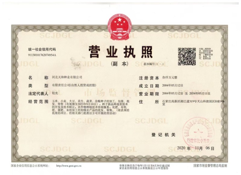 高抗锈病抗茎腐病抗穗腐病粉红轴大棒习玉一号