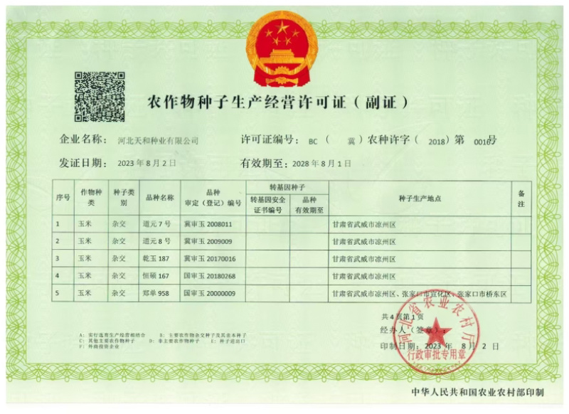 高抗锈病抗茎腐病抗穗腐病粉红轴大棒习玉一号