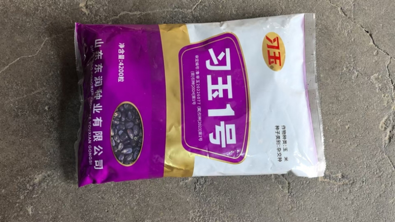 高抗锈病抗茎腐病抗穗腐病粉红轴大棒习玉一号