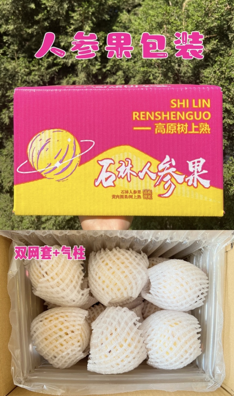 品质大果特大果云南石林树熟人参果原产地现摘现发