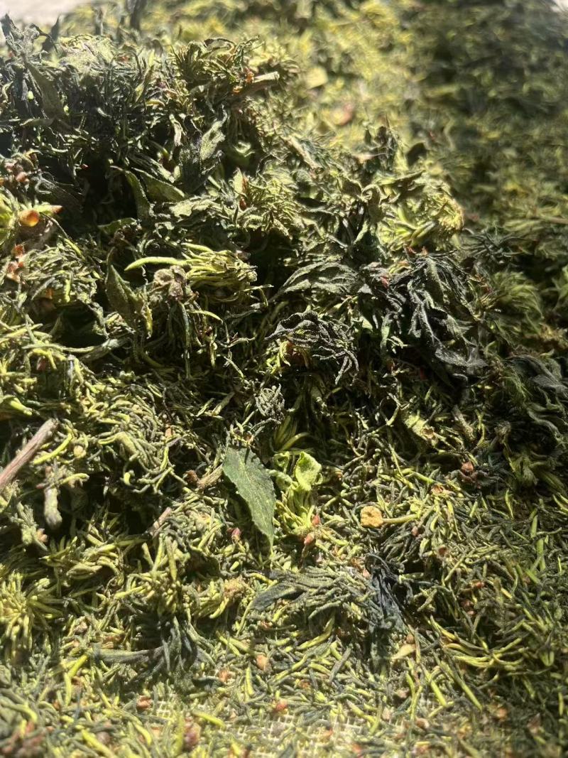 杜仲花干货