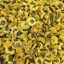婺源黄菊纯干批发零售