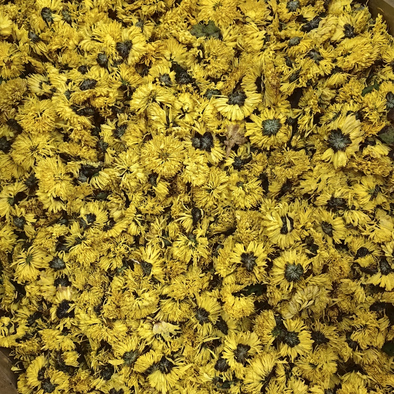 婺源黄菊纯干批发零售