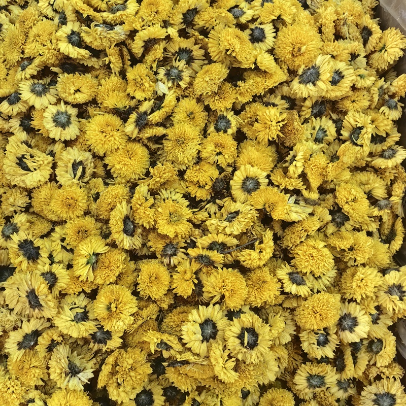 桃菊全干各种规格泡