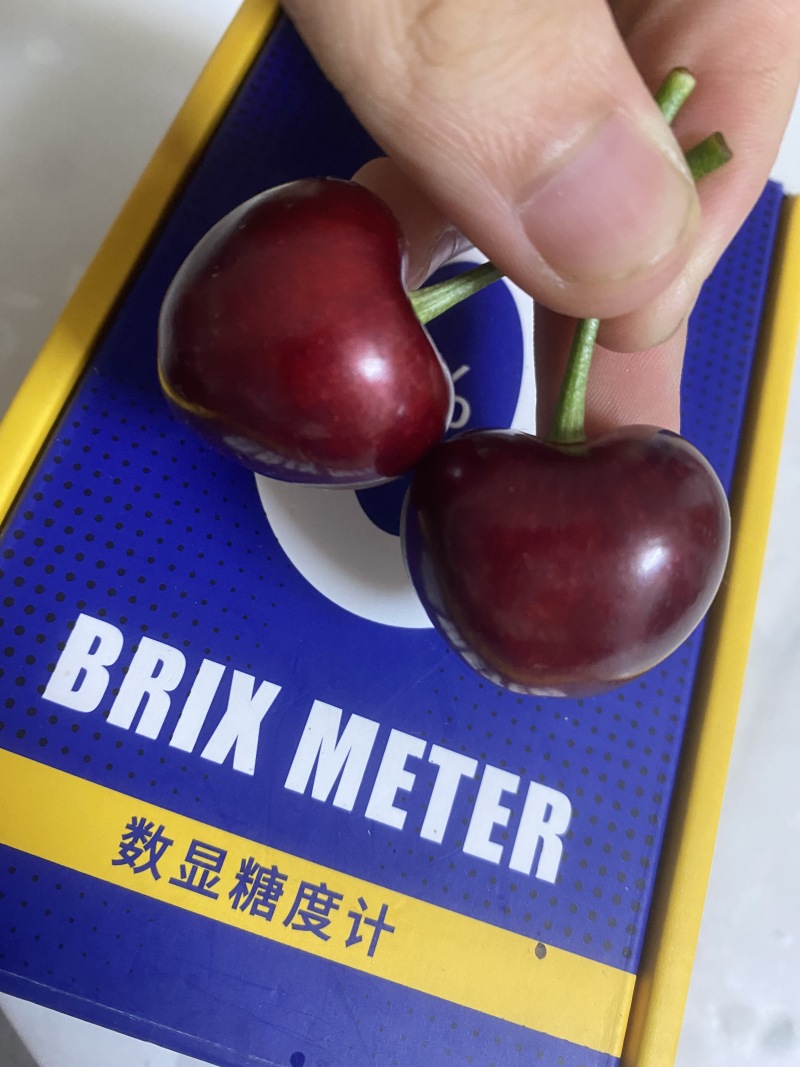 美早樱桃现货供应，产地直供一手货源，保质保量