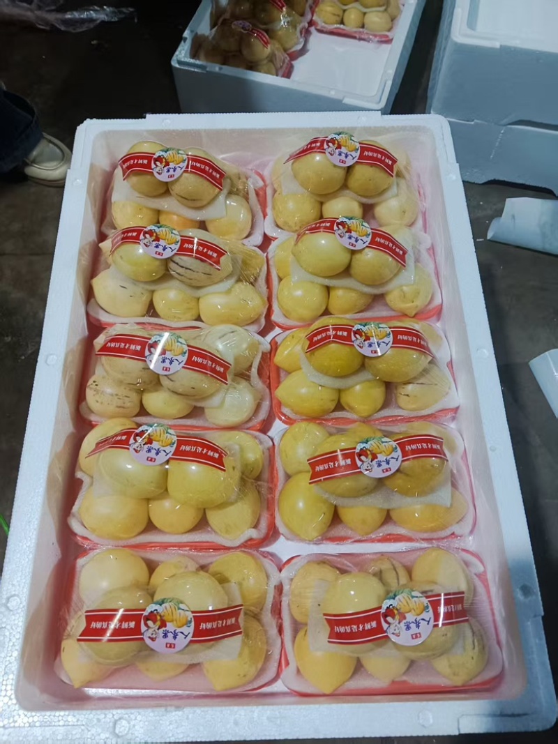 云南精品人参果产地直发保质保量量大价优欢迎电话联系