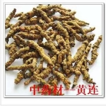黄连统货，产地一手货源，量大从优