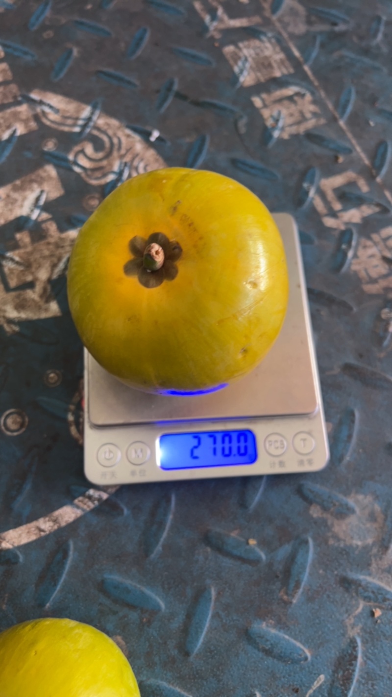 云南鸡蛋果现货批发大量供应超市市场电商社区团购