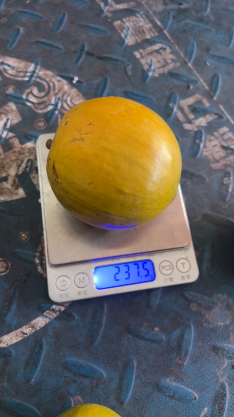 云南鸡蛋果现货批发大量供应超市市场电商社区团购