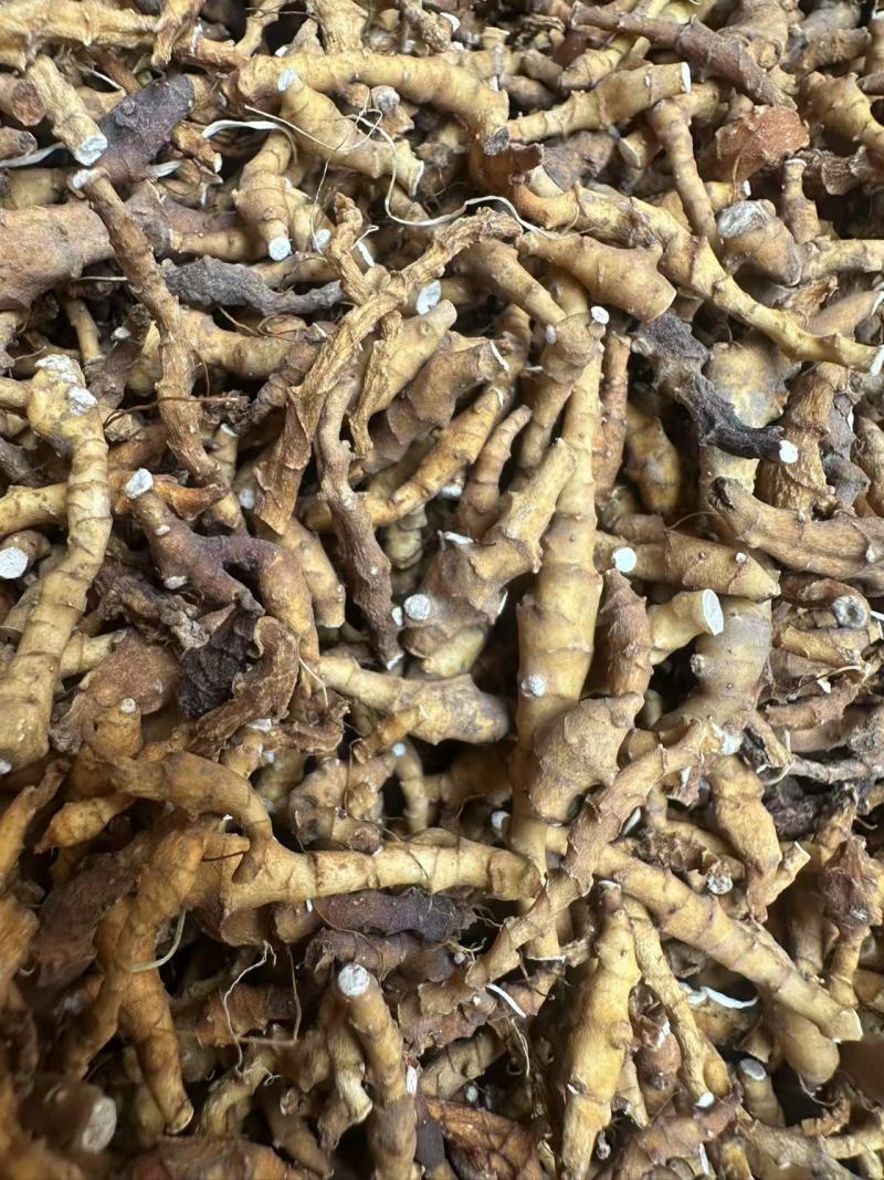 九节菖蒲，价格可议，大量上市，都是优等产品。