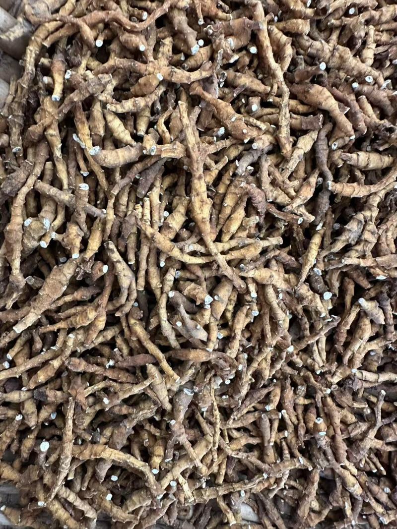 九节菖蒲，价格可议，大量上市，都是优等产品。