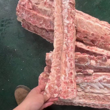 巴西3237龙骨