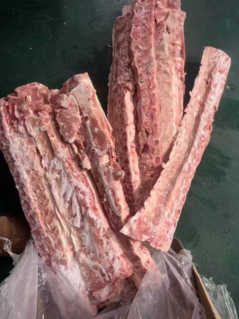 巴西3237龙骨