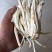 桔梗（商洛带皮斜片），价格可议，产品大量上市上等优品