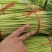 中牟红薹蒜苔红帽蒜薹产地直销量大质优价格优惠欢迎采购