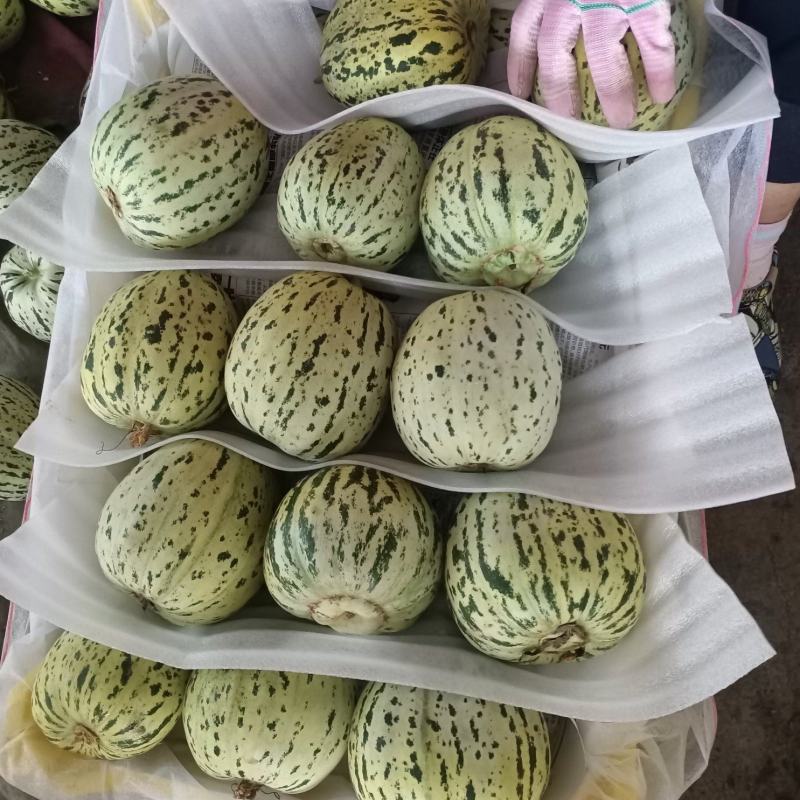 精品花美人！对接各大平台电商及巿场需求！欢迎品尝选购！