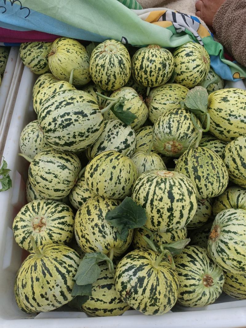 精品花美人！对接各大平台电商及巿场需求！欢迎品尝选购！