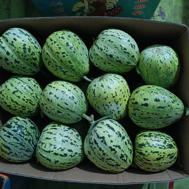 精品花美人！对接各大平台电商及巿场需求！欢迎品尝选购！