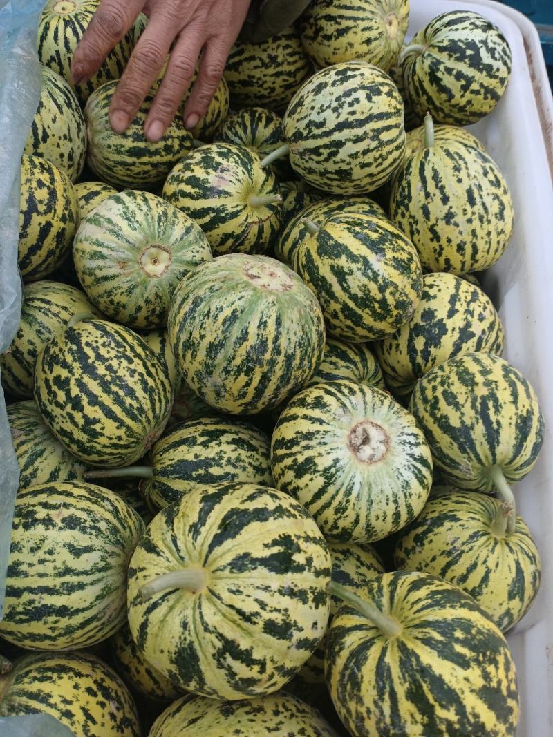 精品花美人！对接各大平台电商及巿场需求！欢迎品尝选购！