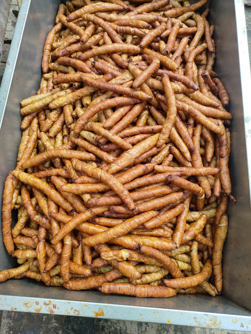 面筋！素大肠熟食专用