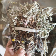 正品翻白草