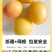 预售高品质李子香蕉李子，产地直产直发自种10万斤