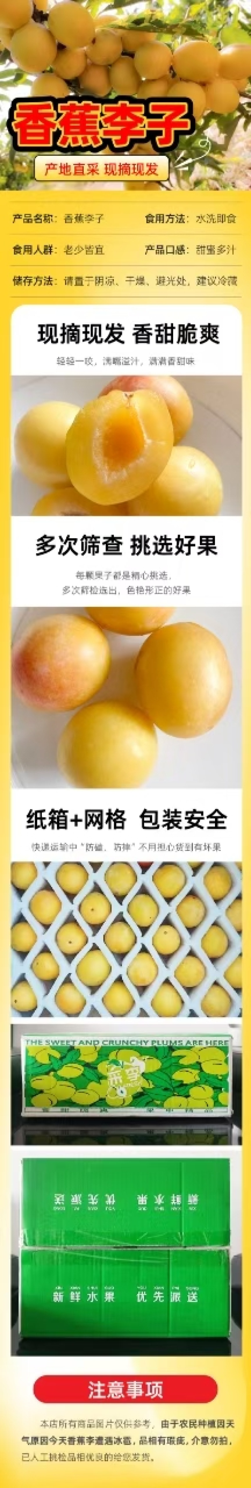 预售高品质李子香蕉李子，产地直产直发自种10万斤