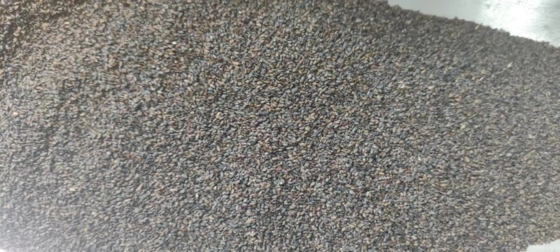 车前子中药材车前子精选新货无硫无杂质实物拍摄量大优惠