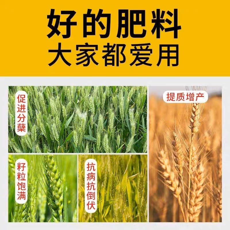 脉黄金叶面肥叶面肥脉黄金喷施叶面肥