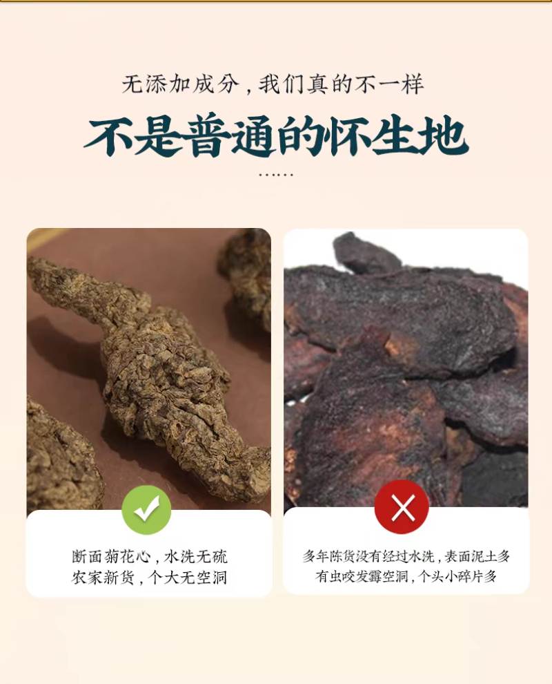 鲜地黄500g怀生地黄新鲜河南中焦作药材种籽非野生农家可