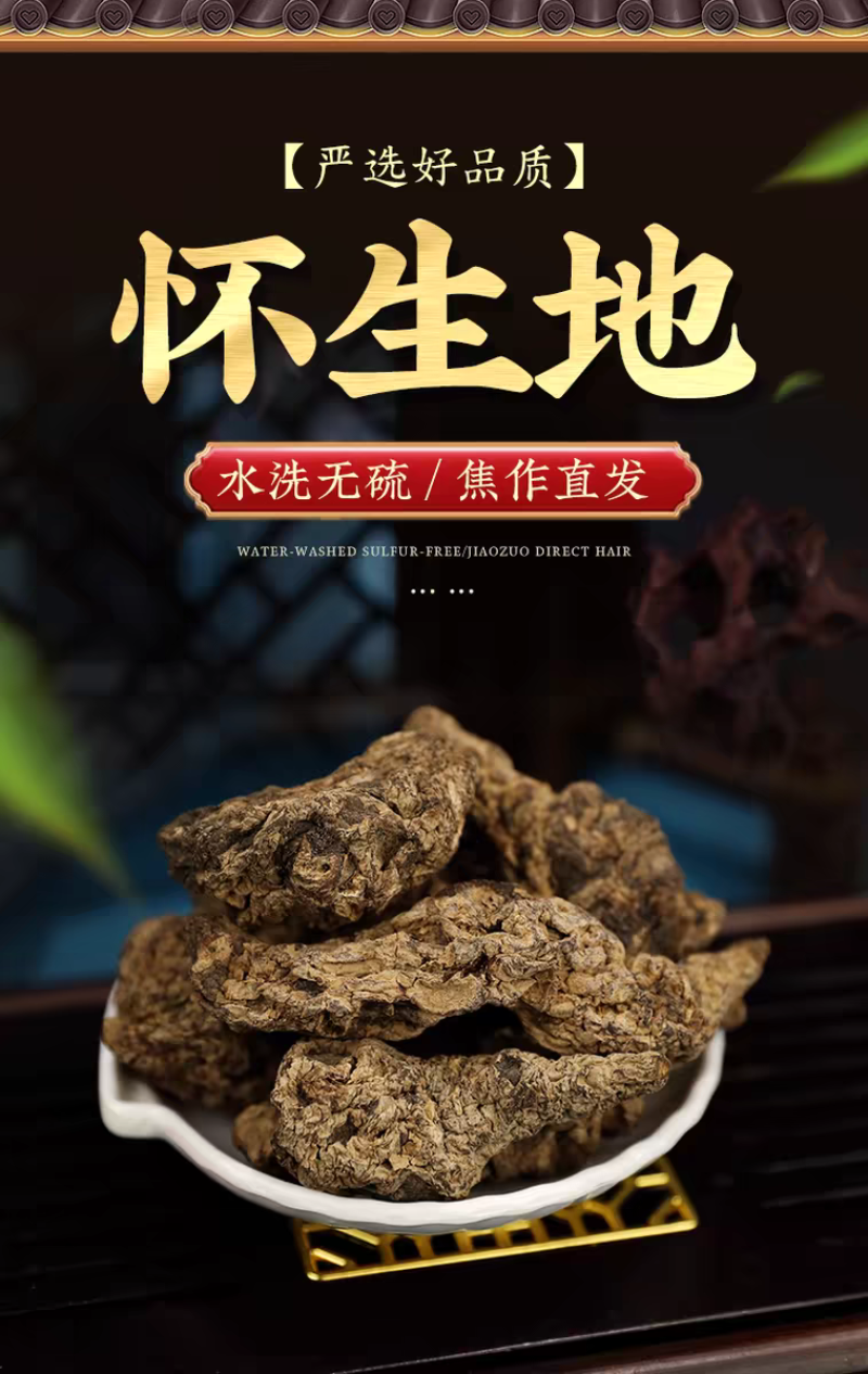 鲜地黄500g怀生地黄新鲜河南中焦作药材种籽非野生农家可