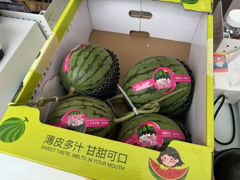 小糖丸西瓜/砀山西瓜【包熟包甜/全国发货】欢迎来电洽谈