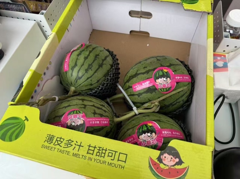 小糖丸西瓜/砀山西瓜【包熟包甜/全国发货】欢迎来电洽谈