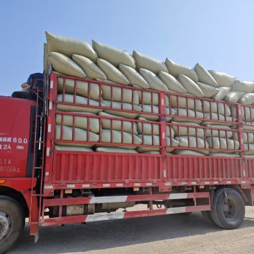 贵州出售精品除尘过筛稻壳厂家直供质量保证货源稳定