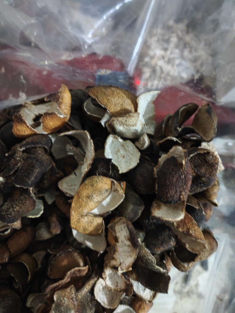 青皮四花青皮四花青产地直发不满意可以退换货