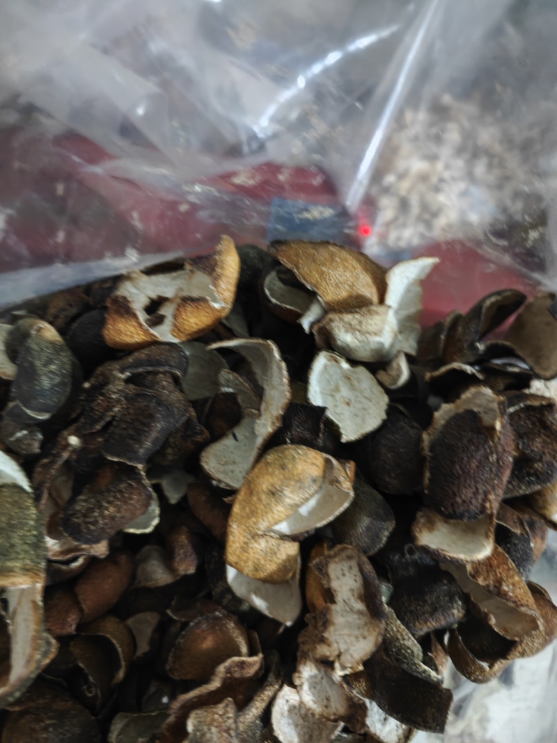 青皮四花青皮四花青产地直发不满意可以退换货