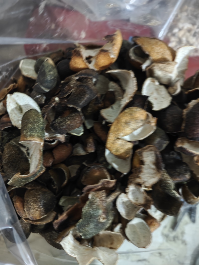 青皮四花青皮四花青产地直发不满意可以退换货