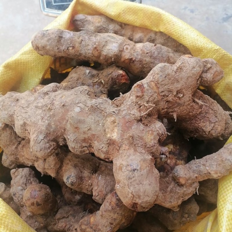 土茯苓，野生货，本地新鲜土茯苓，白肉，粉质，长期供应