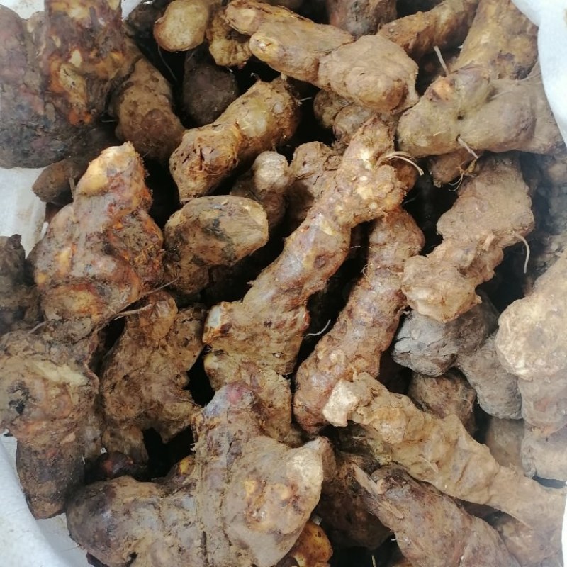 土茯苓，野生货，本地新鲜土茯苓，白肉，粉质，长期供应