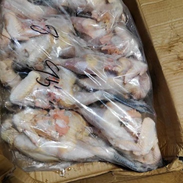 笨公鸡